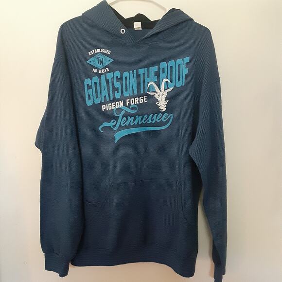 Pigeon Forge Tennessee Hoodie Mens L Blue Goats On The Roof Striped - Picture 1 of 8